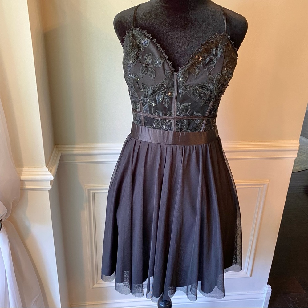 Crystal Doll Lace Mesh Sleeveless A-Line Dress